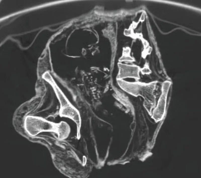 50bff844-c6cb-4f31-80eb-d341e4d171a9