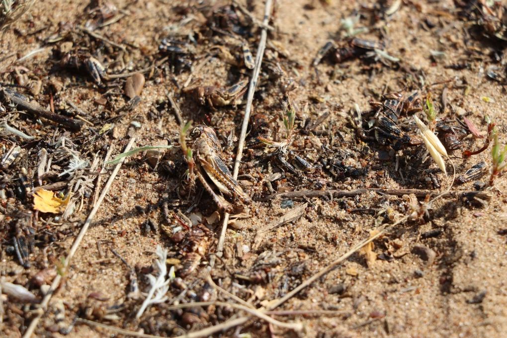 591562c0-b29f-42fd-8869-2531e4d14be0