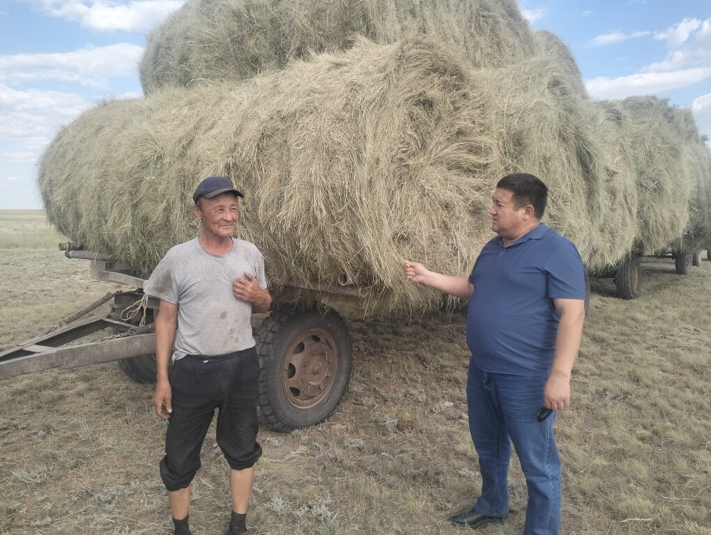 Лабияның өте үлкен порнофотосуреттері