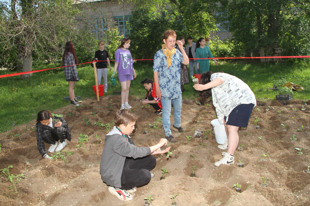 Обучение бизнесу (4)