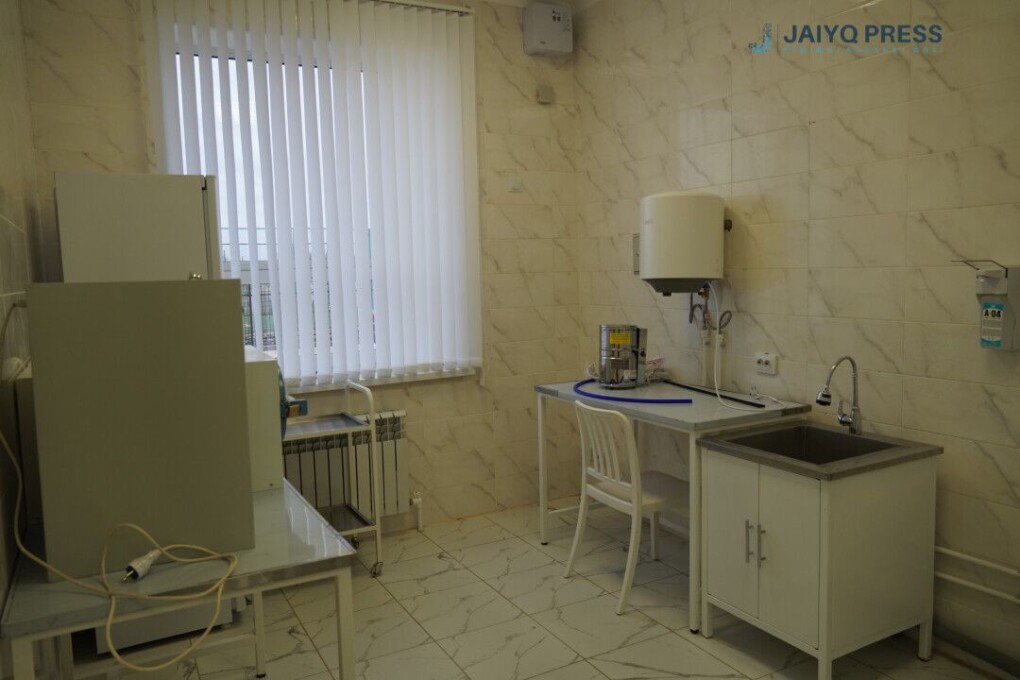 WhatsApp Image 2025-06-04 at 17.50.24