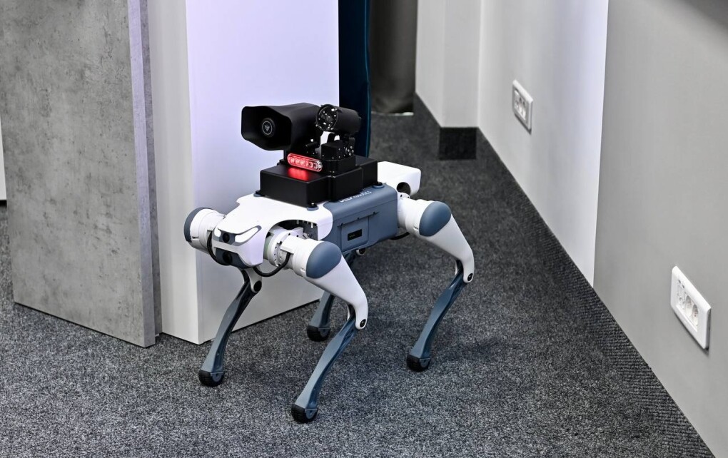 WhatsApp Image 2025-06-24 at 11.57.04