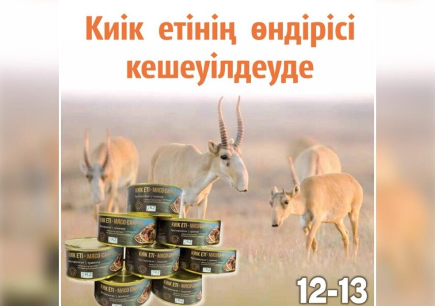 Анустан шашырату