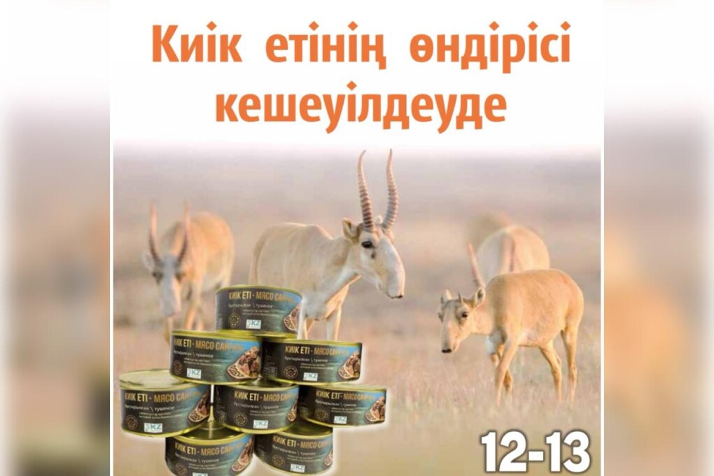 Бөксені ақырын ұру бейне