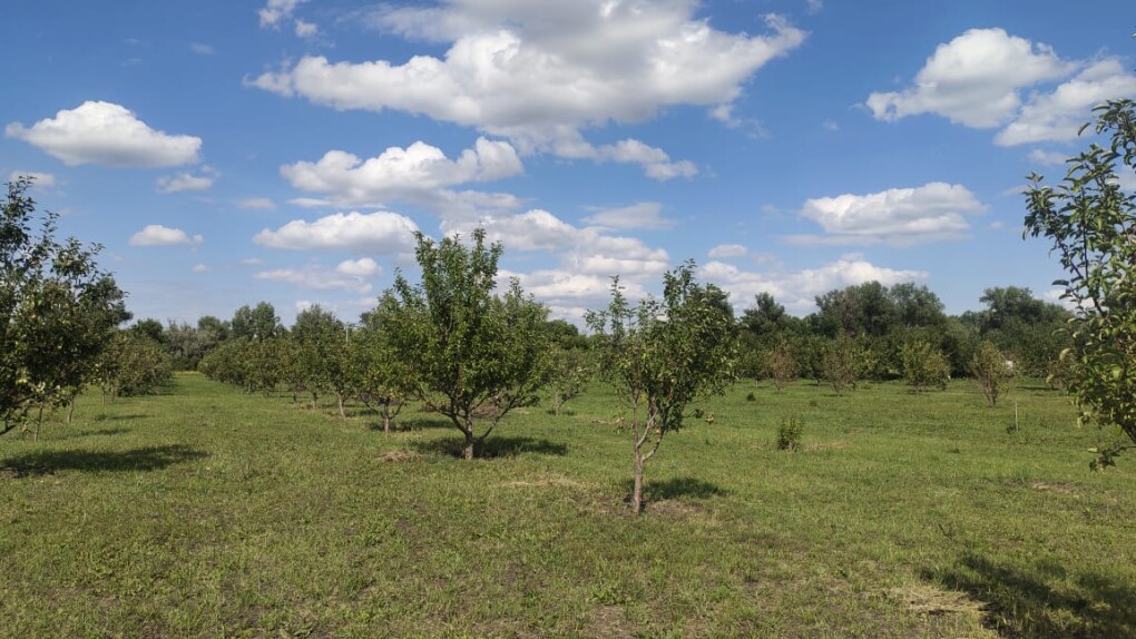 WhatsApp Image 2025-06-26 at 13.51.27