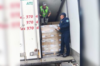 WhatsApp Image 2025-06-27 at 10.48.12 (1)