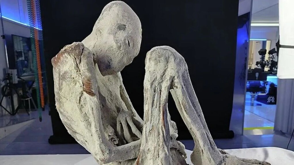 a479ea22-a6d8-4cf5-bb1f-97119865435f