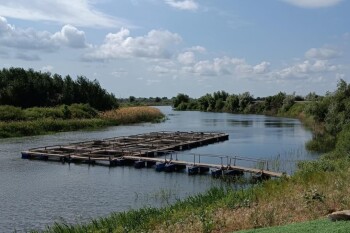 аким - барбастау (5)