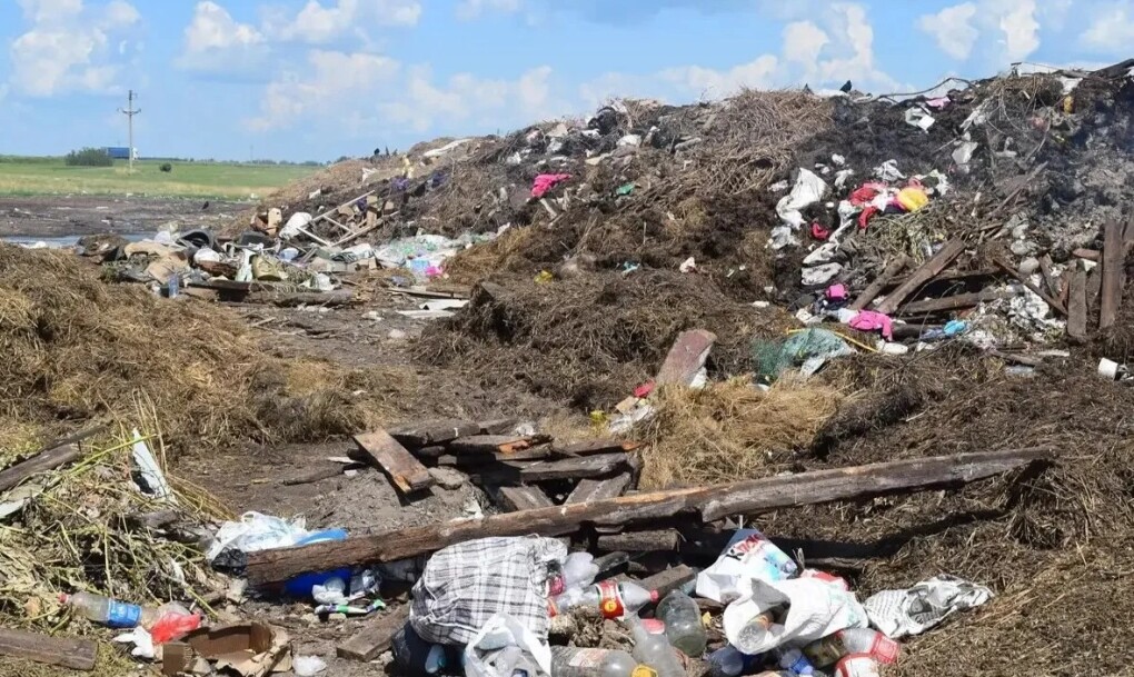 d7c554a7-12ce-45bb-a646-d9aff47e1064