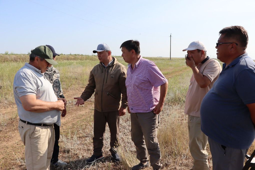 e68a98ea-46ab-47f3-bd87-e2bb32caedcd