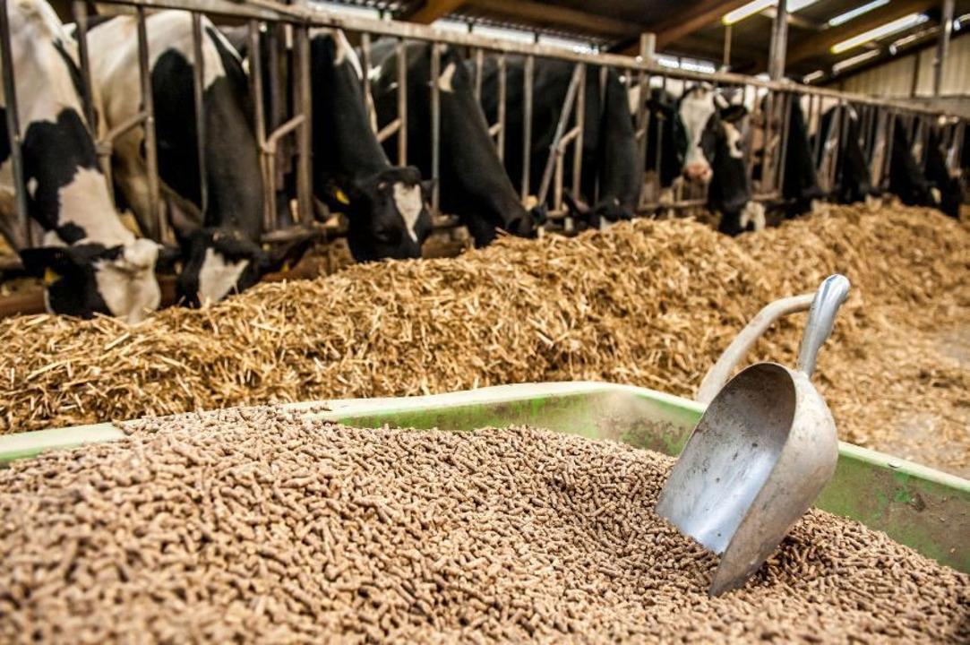 _gluster_2025_6_22_946419cb305a83a4959e1e5db791865c_1280x720