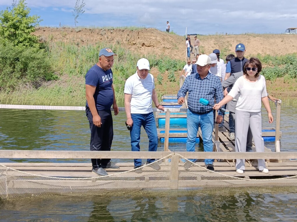 image-03-06-25-09-28-2