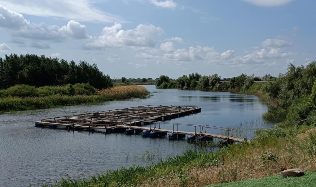 image-03-06-25-09-28-3