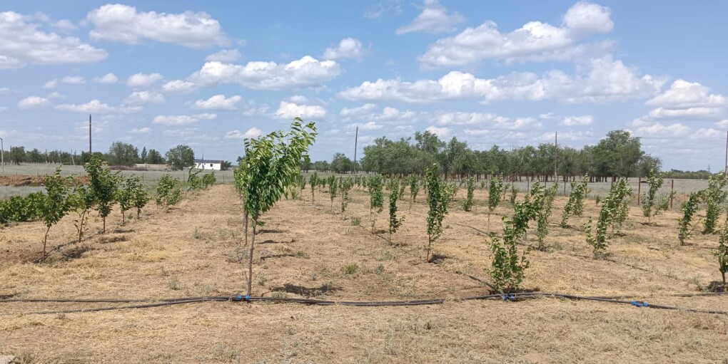 image-03-06-25-09-30-1