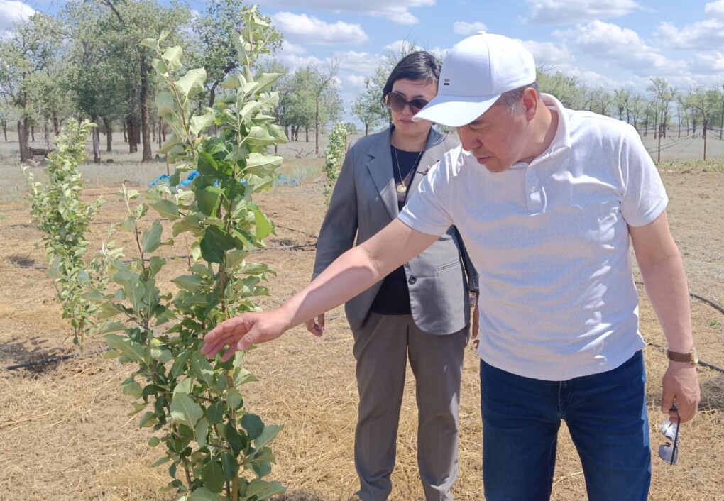 image-03-06-25-09-30-2