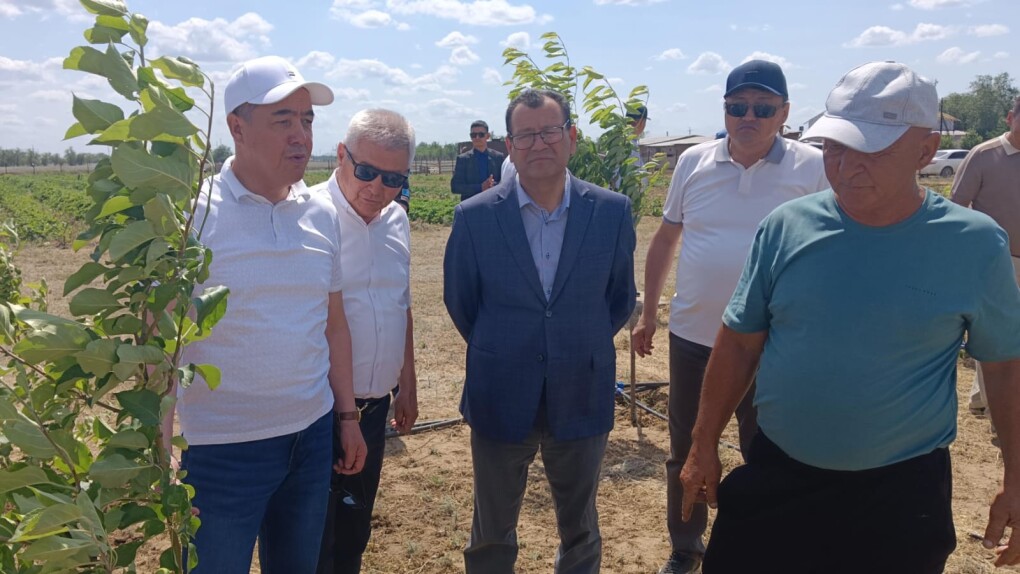 image-03-06-25-09-30-3