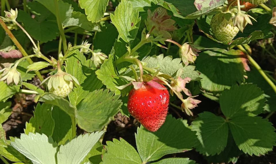 image-03-06-25-09-30-6