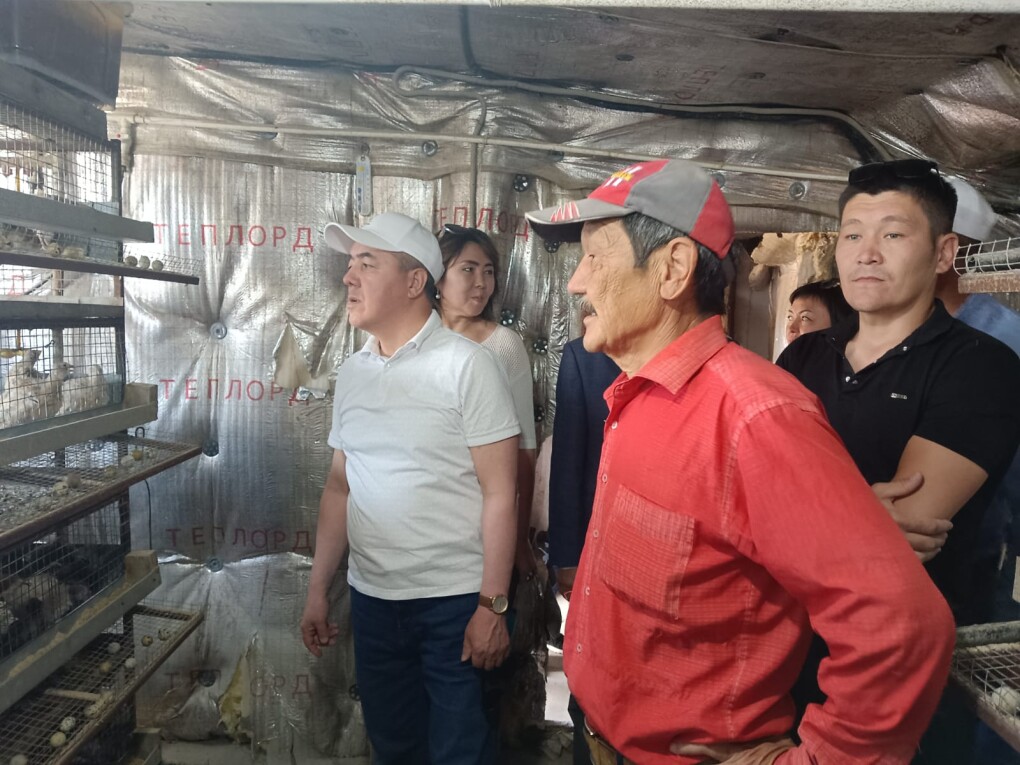 image-03-06-25-09-31-1 (1)