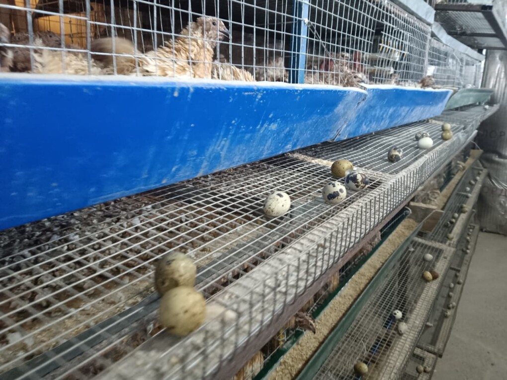 image-03-06-25-09-31-2