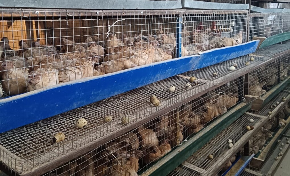 image-03-06-25-09-31-3 (1)