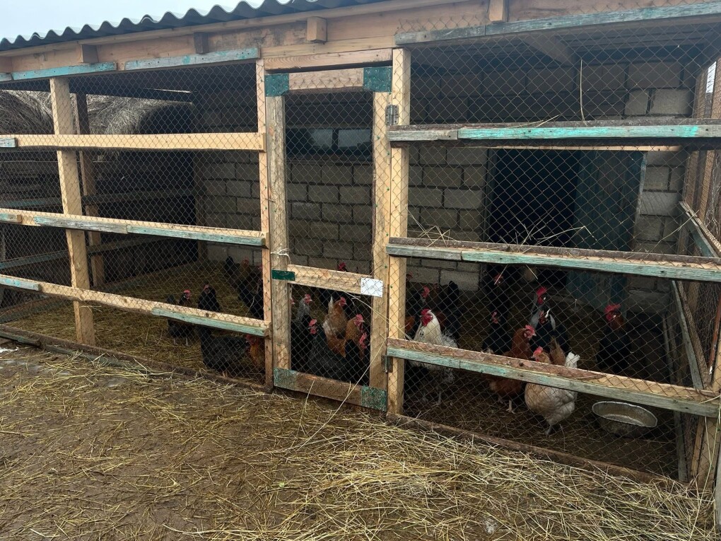 image-13-06-25-05-12-2