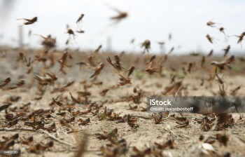 istockphoto-114413730-2048x2048