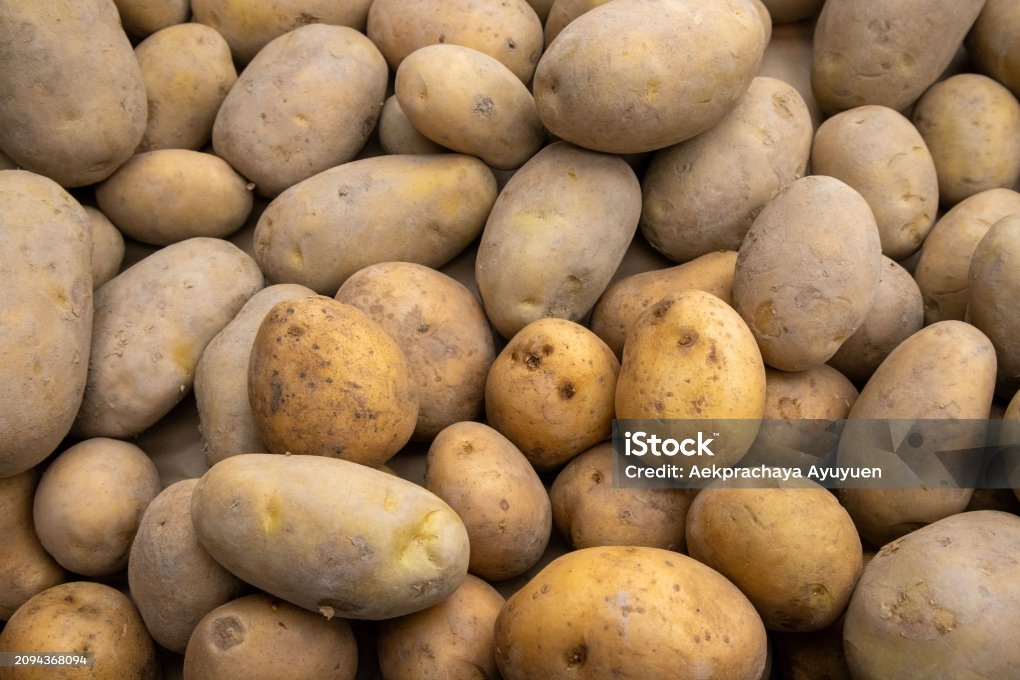 istockphoto-2094368094-2048x2048