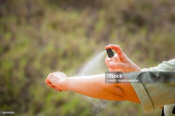 istockphoto-2157312745-2048x2048