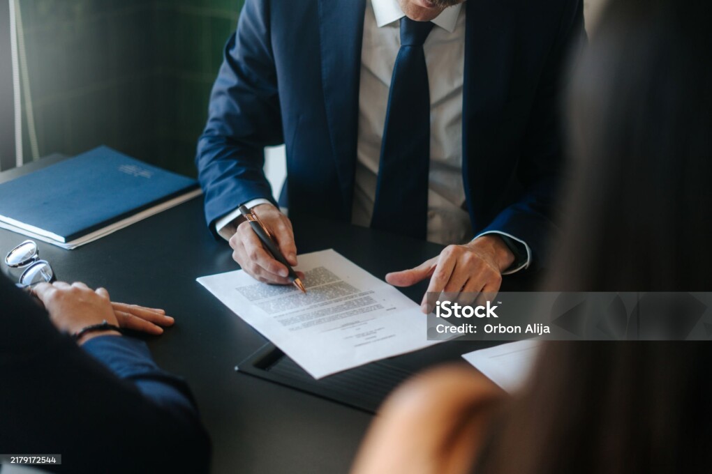 Team of professionals discussing over business project