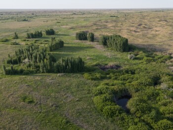 казах виллидж жп (3)