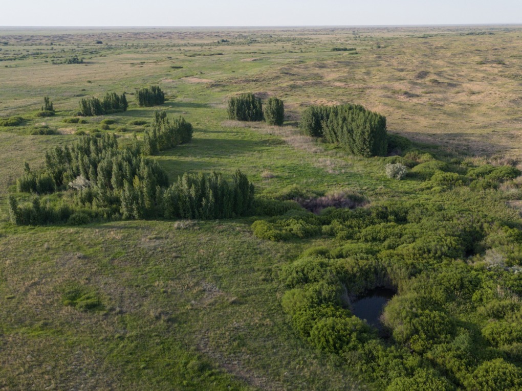 казах виллидж жп (3)