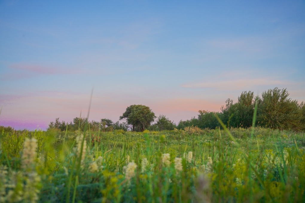 казах виллидж жп (30)