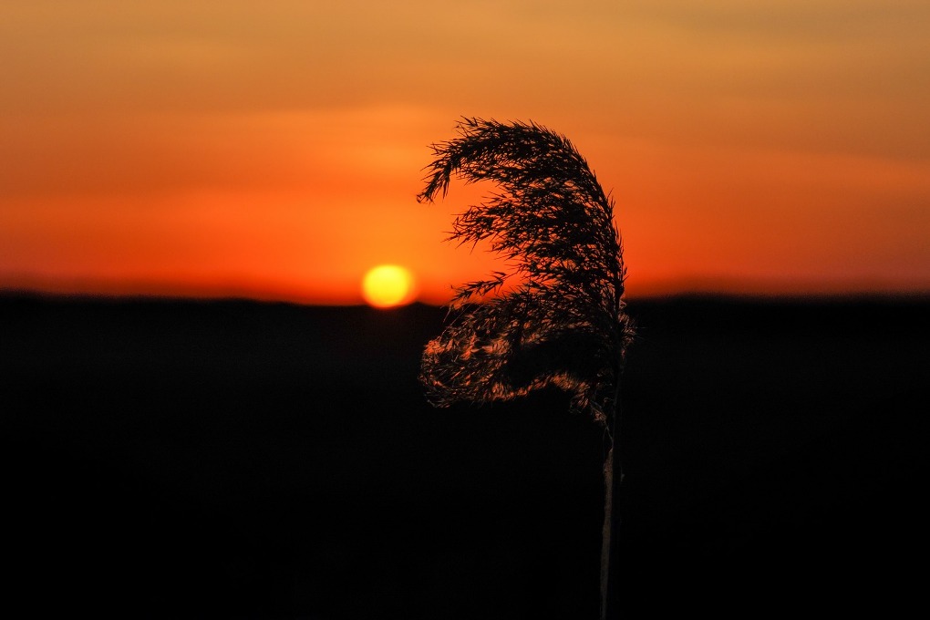 казах виллидж жп (32)