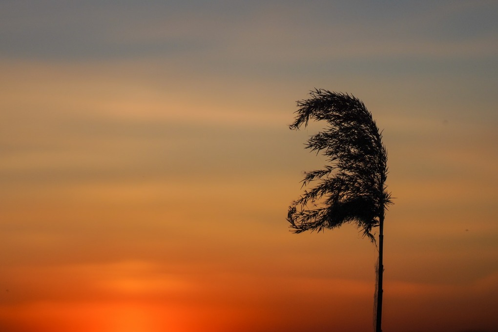 казах виллидж жп (33)