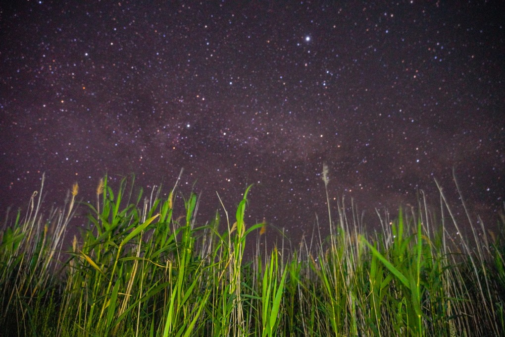 казах виллидж жп (39)