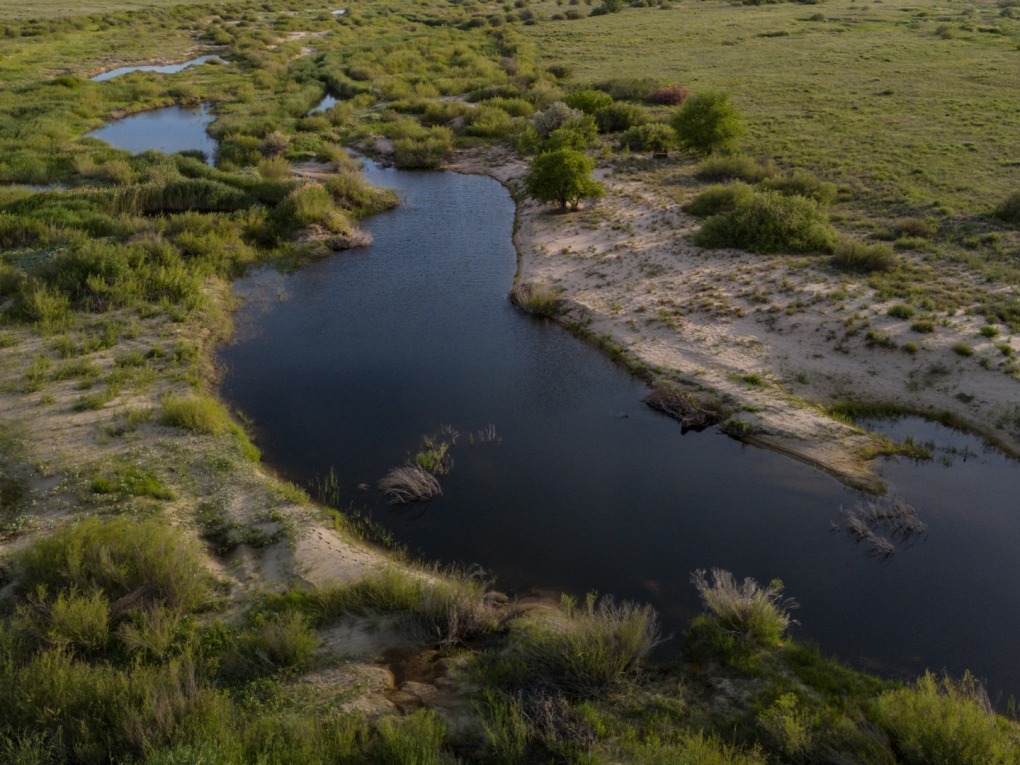 казах виллидж жп (7)