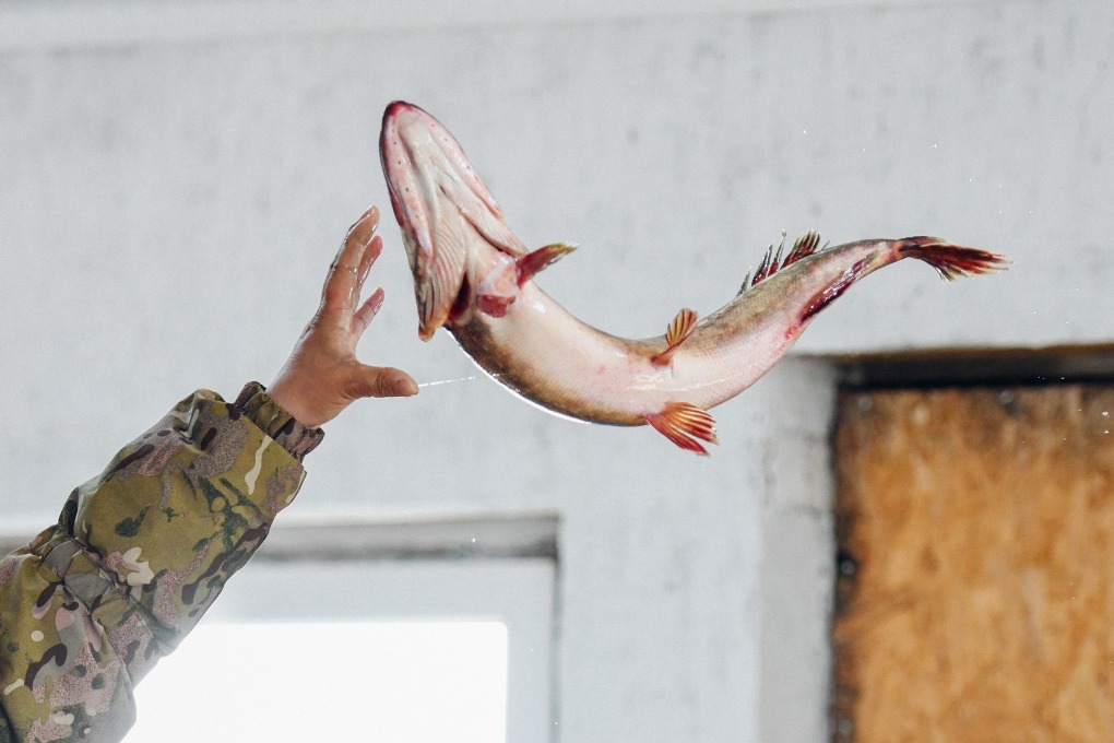 жп конкурс (2)