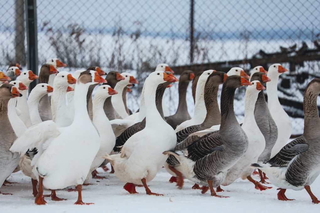 жп конкурс (28)