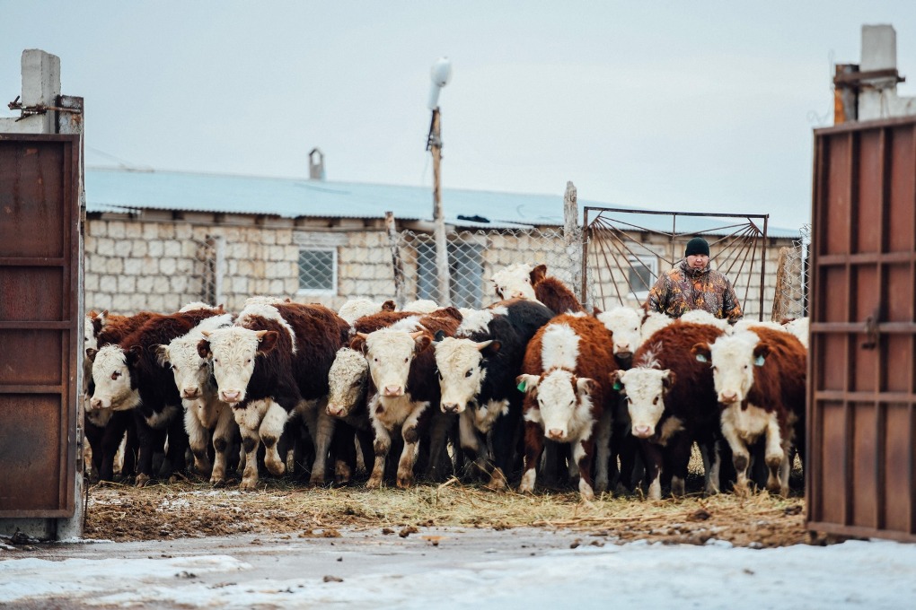 жп конкурс (3)