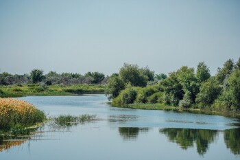 жп конкурс (30)