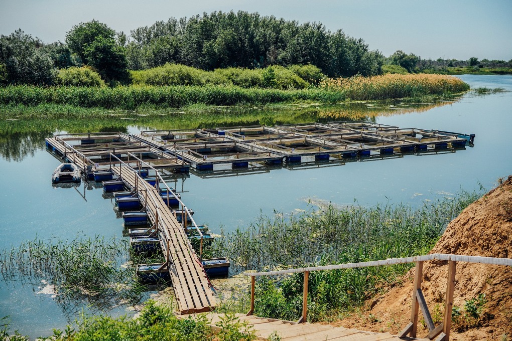 жп конкурс (31)