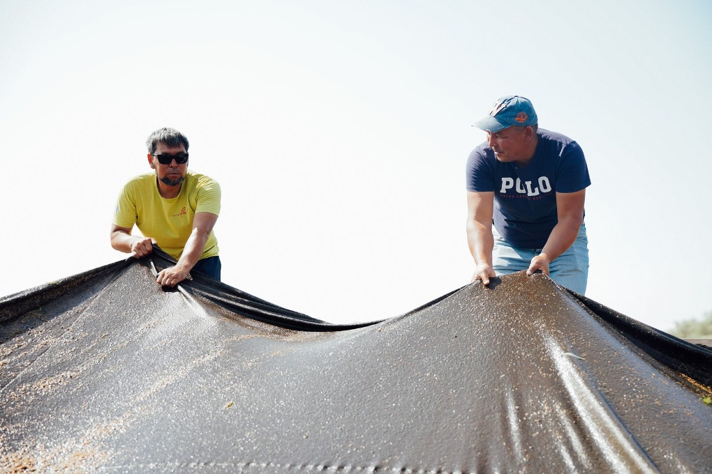 жп конкурс (33)