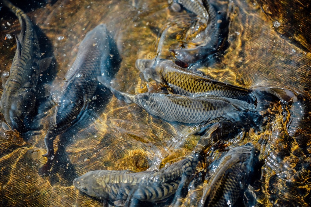 жп конкурс (34)