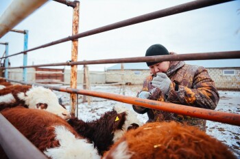 жп конкурс (8)