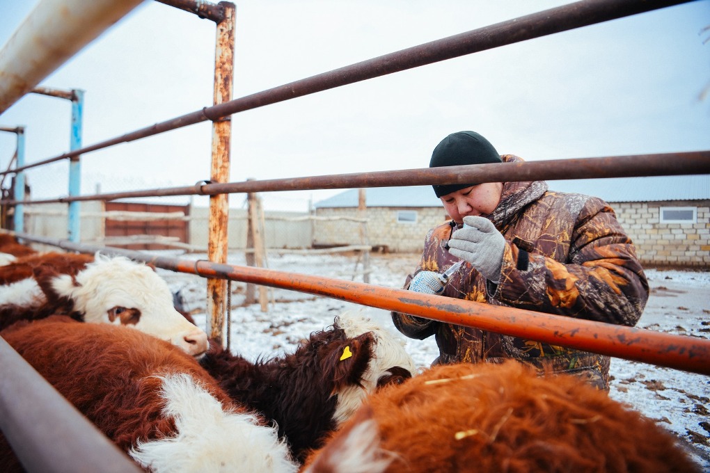 жп конкурс (8)