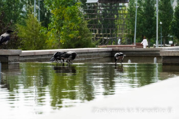 жп парк қадыр мырза али (6)