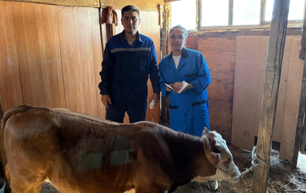 1206e693-be26-4341-9769-c92987323236