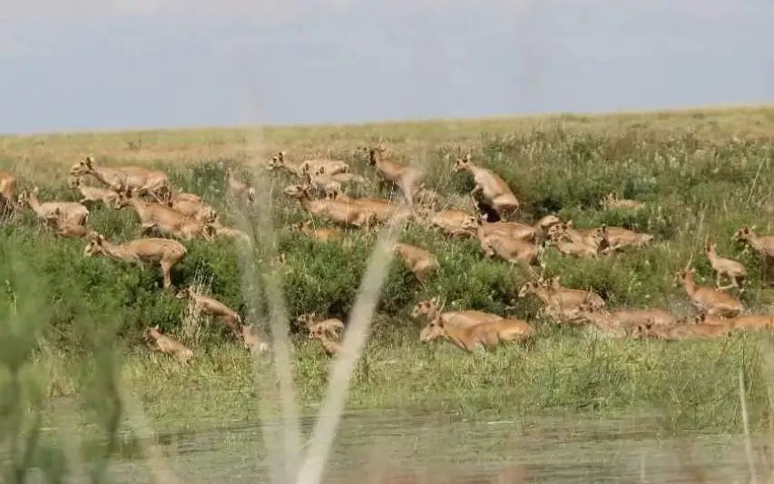 15ccef16-b939-4d63-b925-0120864a5d61