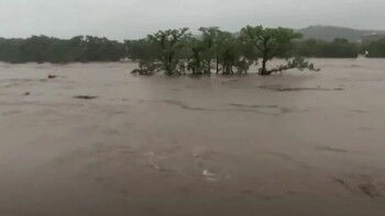 2b884356-c9bb-45b2-a528-c9e72677e335