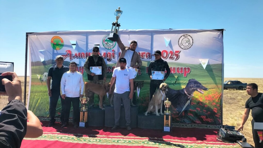 354bfea1-c914-4022-8829-338ca1c39443